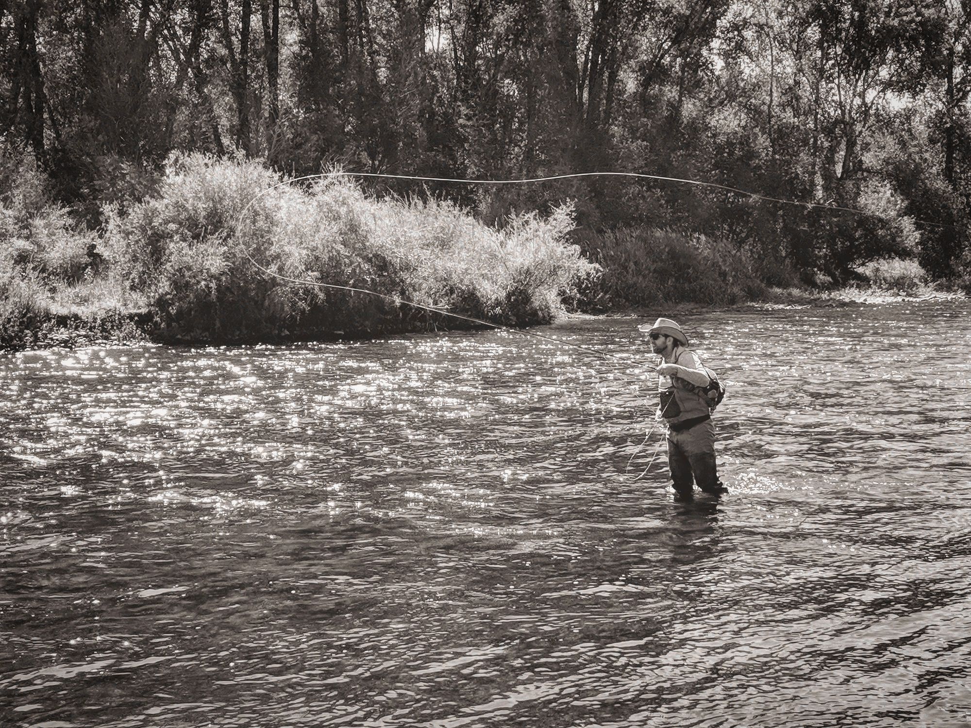 casting a fly rod on the Gunnison River, Colorado