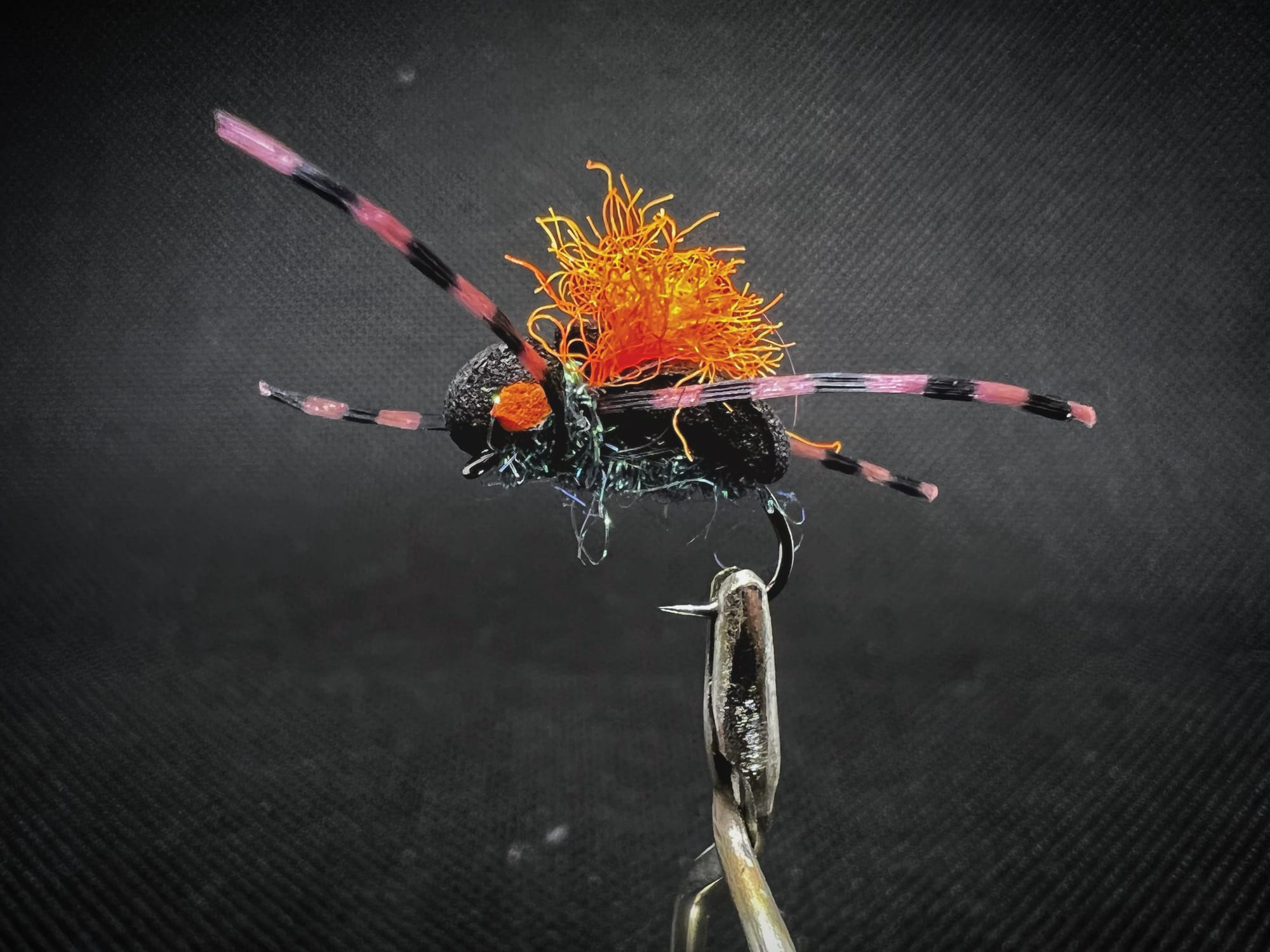 Grillos Hamburgler Beetle fly pattern