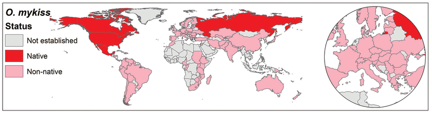 map of global rainbow trout distribution