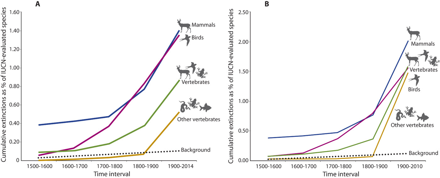 Conservation Concept: Extinction Panic Explained