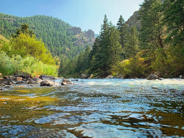 Headwaters Shootout