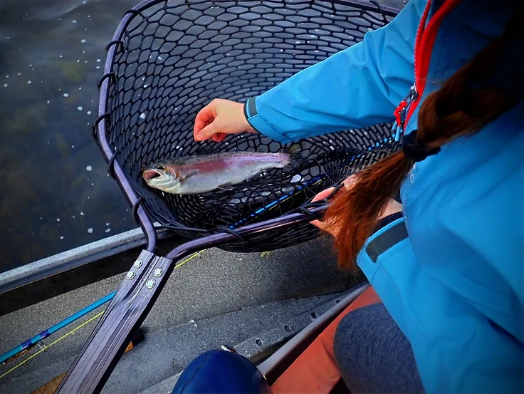 catch and release rainbow trout fly fishing