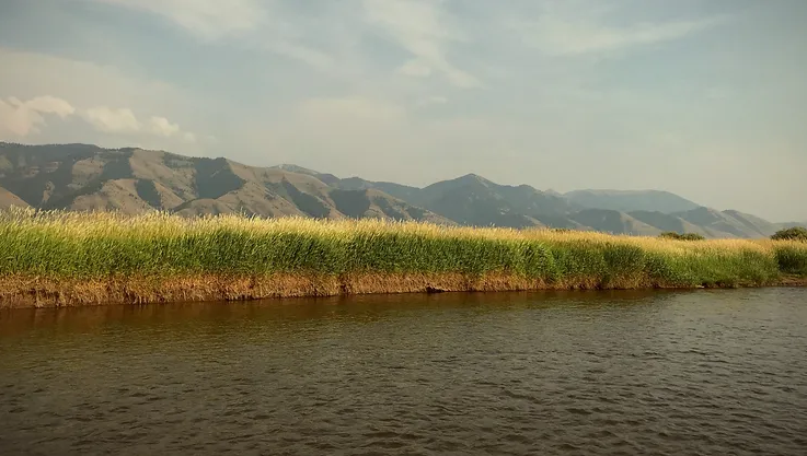 fly fishing the Salt River, Wyoming