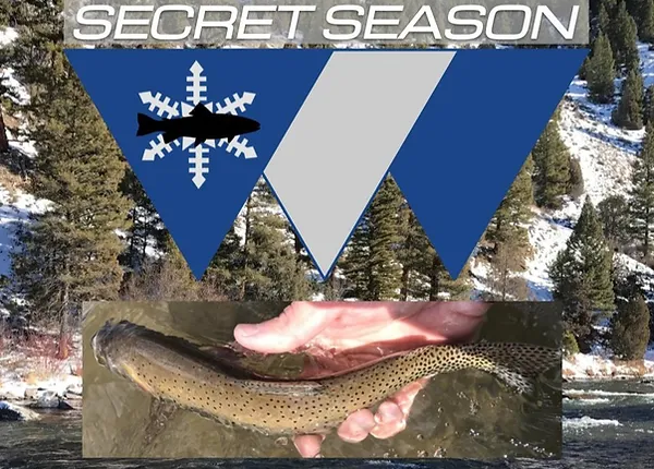 Winter Trout Tips: Misconceptions