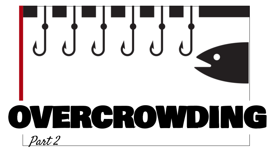 Overcrowding 2) How Did We Get Here? Hatchery Obsessed