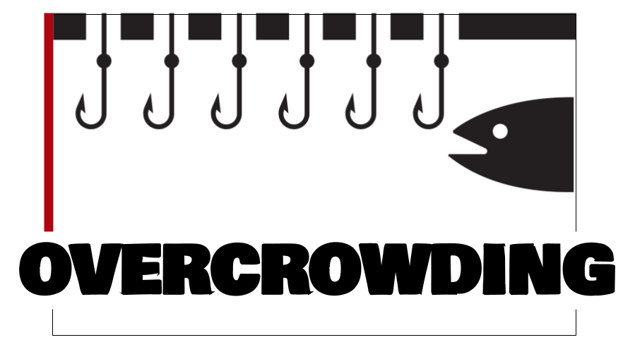 New Series On Overcrowding Launches