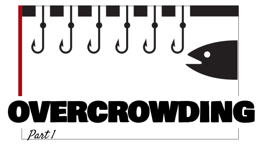 Overcrowding 1) How Did We Get Here? Human Tendencies