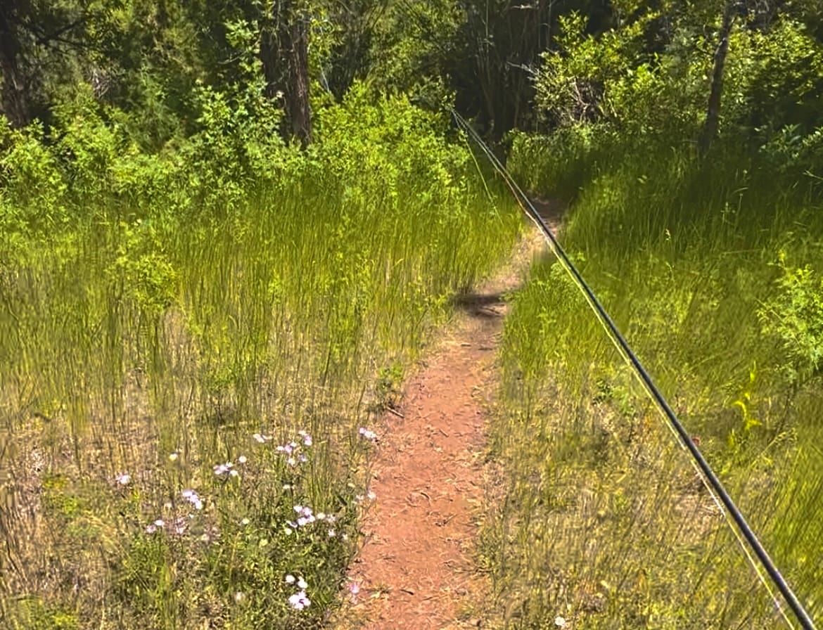 Walking on a trail to the banks of a river to fly fish trout, grayling, whitefish and chase hatches like salmonflies