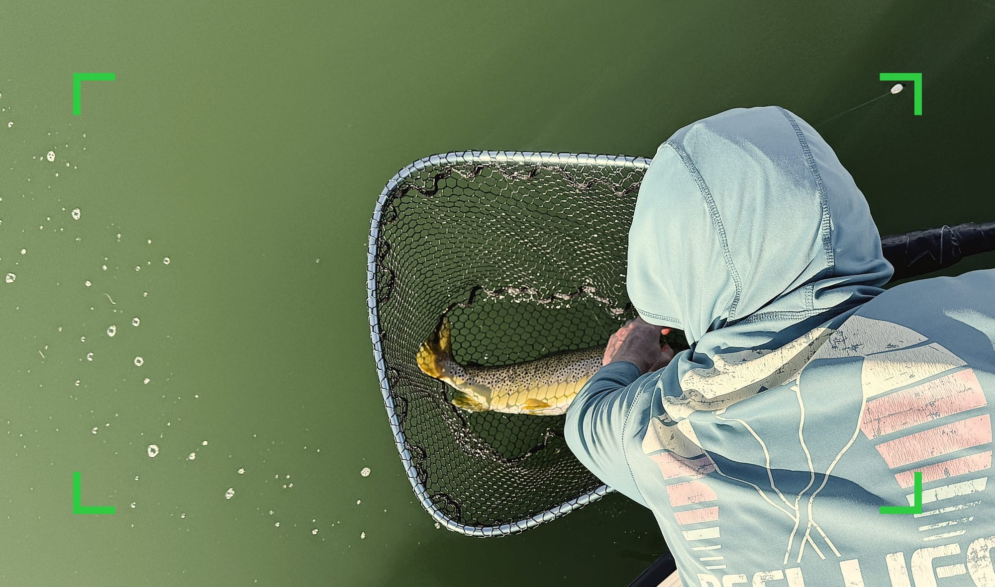 fly fishing, story, brown trout, stillwater, coho, smallmouth bass, carp, wiper, striped bass, how to fly fish