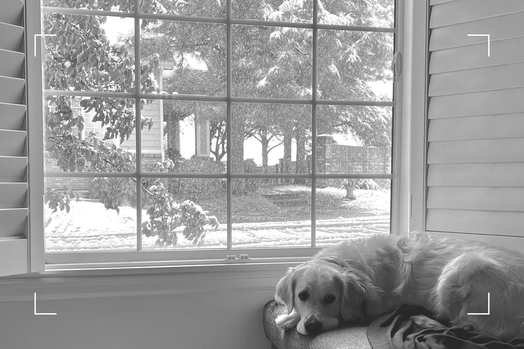 Offseason Selections: Read, Flip, Skip