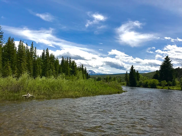 On this float the water was public but the streambed wasn't, Blue River, Colorado