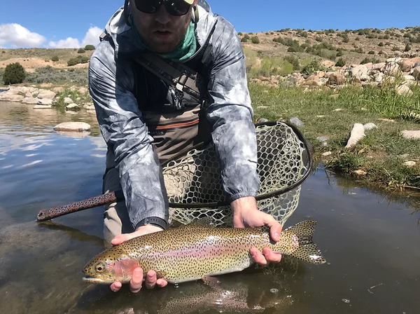 Rainbow trout from the North Platte, Wyoming