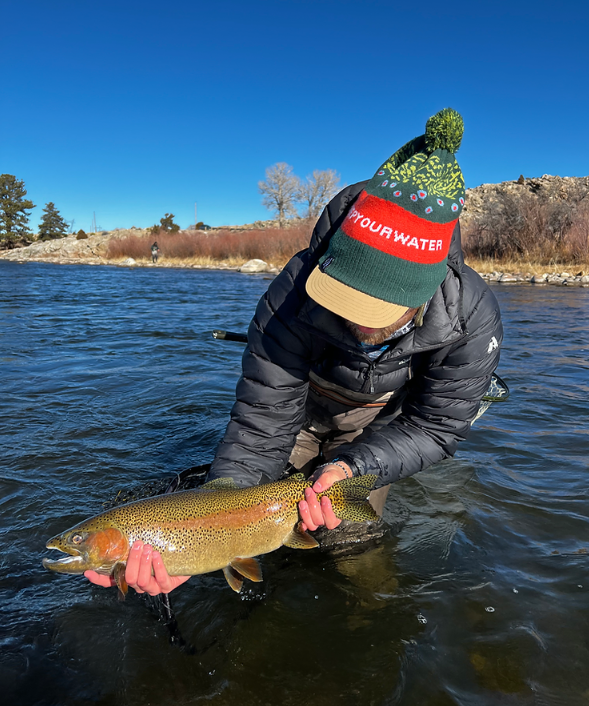 Fly fishing and releasing a rainbow trout from the North Platte River, Wyoming