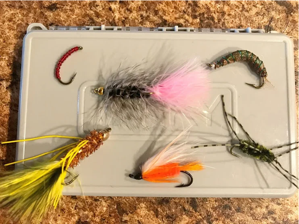 Wire Worm, Woolly Bugger Cranefly, Tequelly, Polar Shrimp, Pat's Rubber Legs