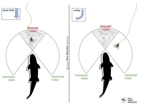 Why Swinging Soft Hackles Works