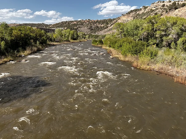 Streamer fly fishing on the Animas River, Durango, Colorado