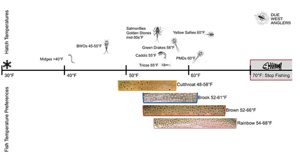 diagram of optimal trout temperatures, and macroinvertebrate hatch timing