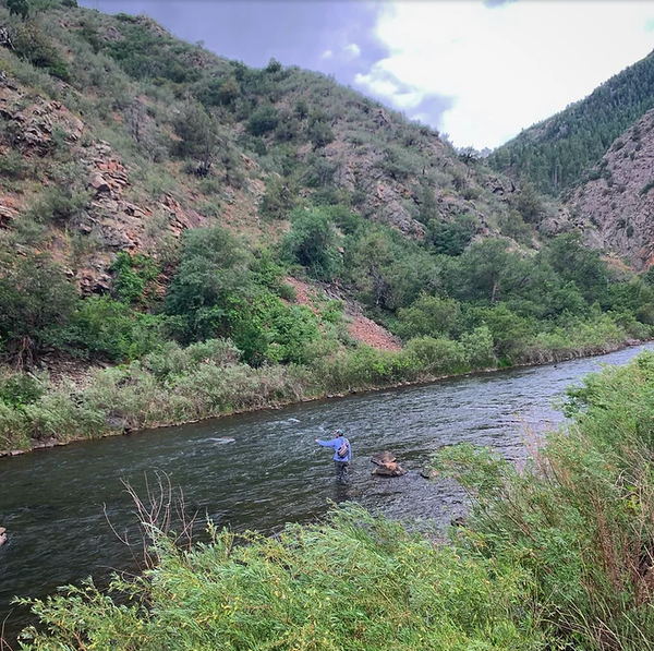 Euro-nymphing the South Platte, Waterton Canyon, Colorado