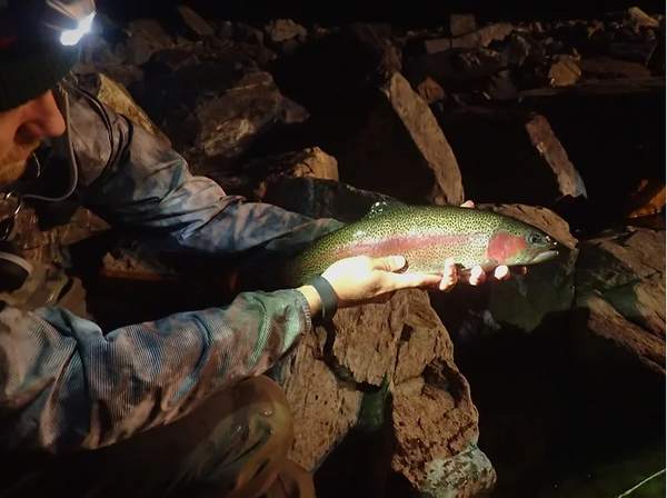 fly fishing nighttime tailwaters in Colorado