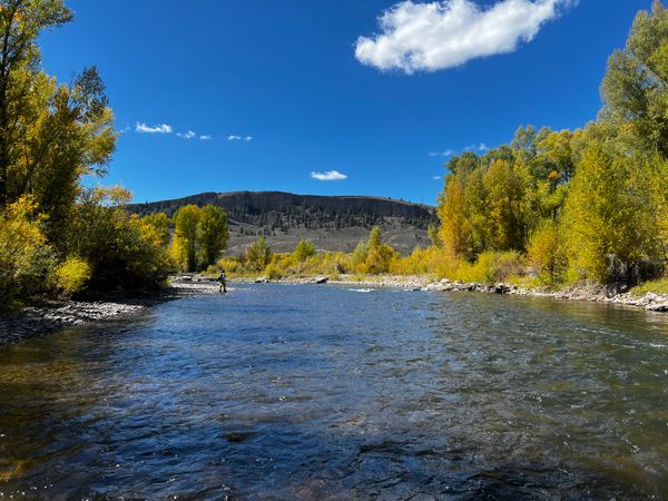 Wading and fly fishing the Gunnison River, Colorado