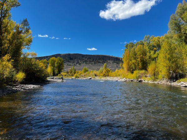 Tips for Streams with Low Fish Density