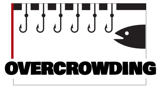 New Series On Overcrowding Launches