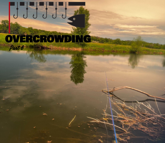 Overcrowding 6) New Horizons in Angling