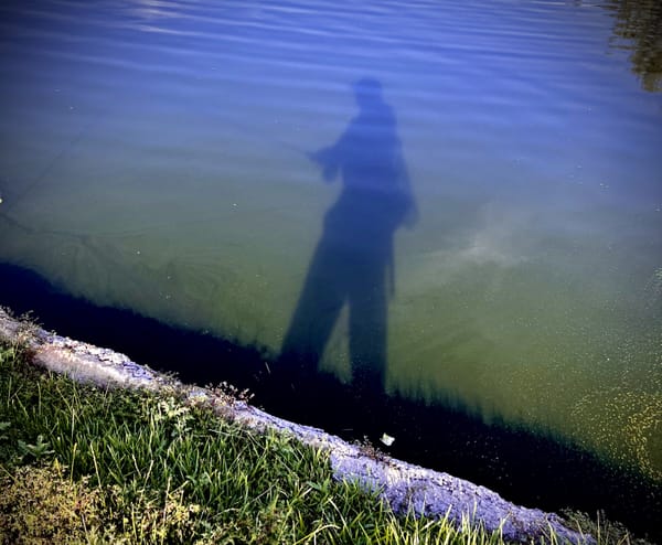 Walking the banks, fly fishing for urban carp