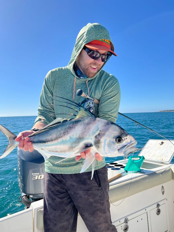 Fly fishing for rooster fish in Baja 