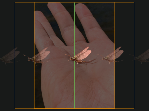 indicator nymphing, fly fishing, euro nymphing, stoneflies, caddisflies, mayflies, stonefly, caddisfly, mayfly, hatch, perdigon, copper john, zebra midge, split shot, tailwater, freestone